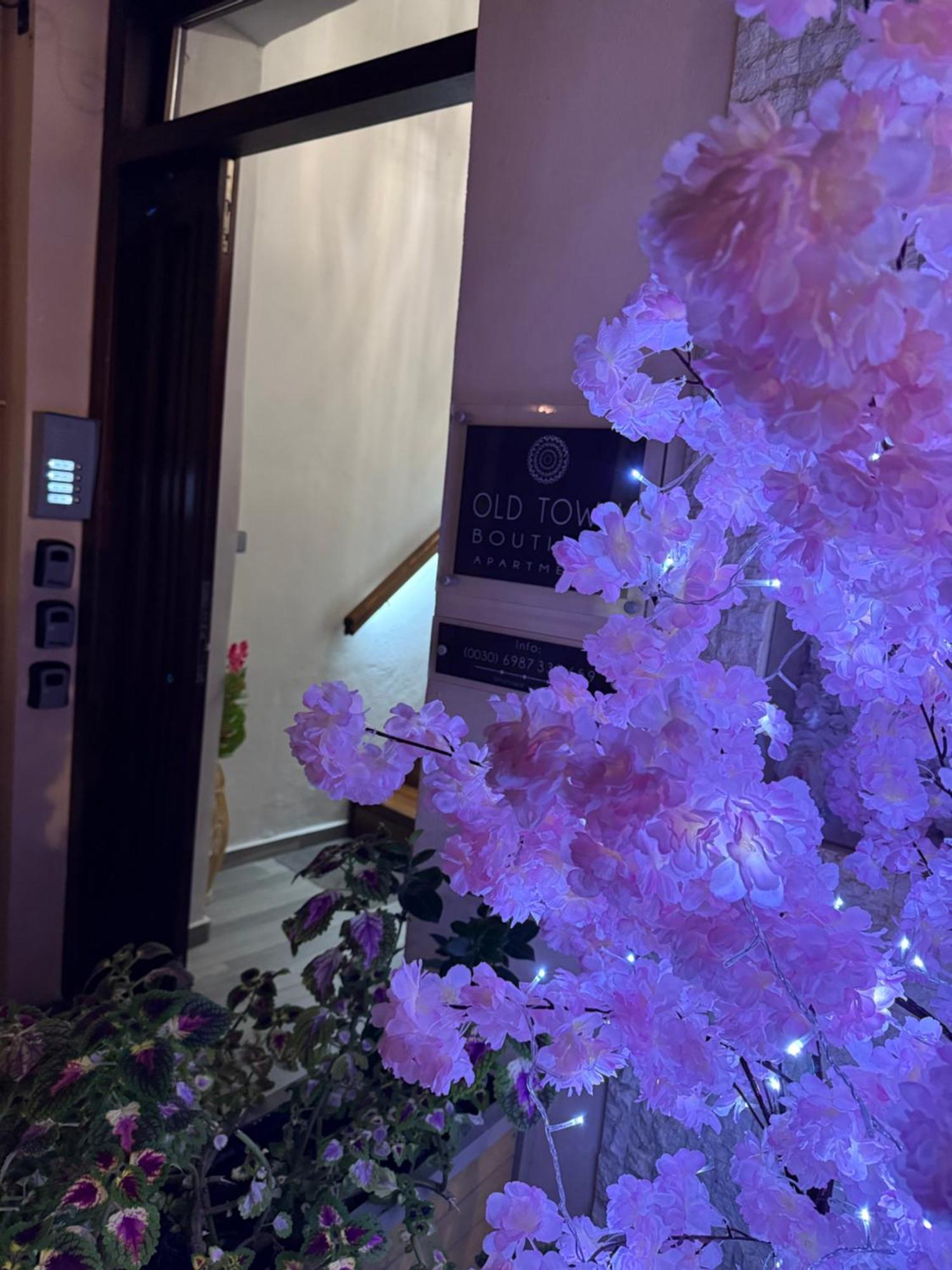 Old Town Studio's * 雷斯蒙
